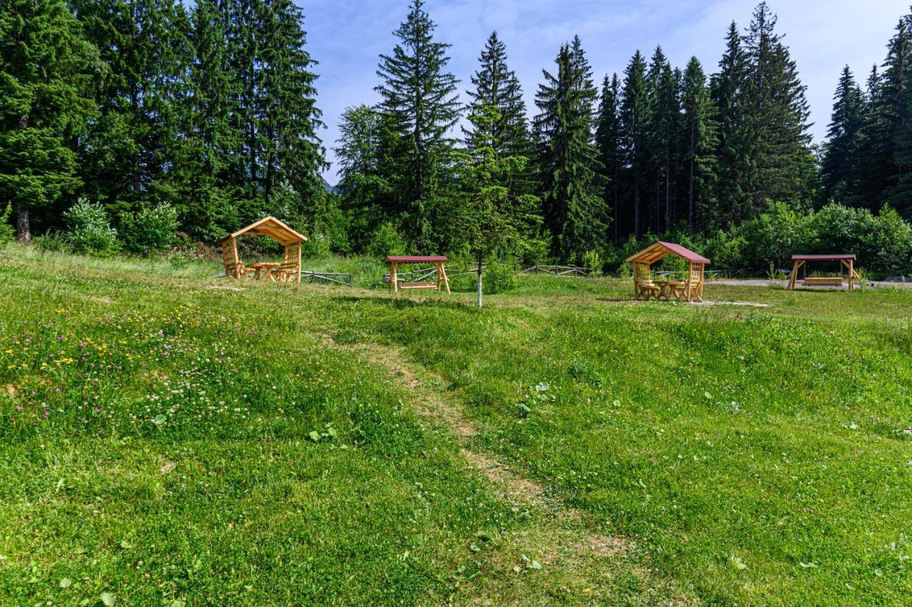 Fabulous Panorama Silver Mountain Apartments Poiana Brasov Exteriör bild