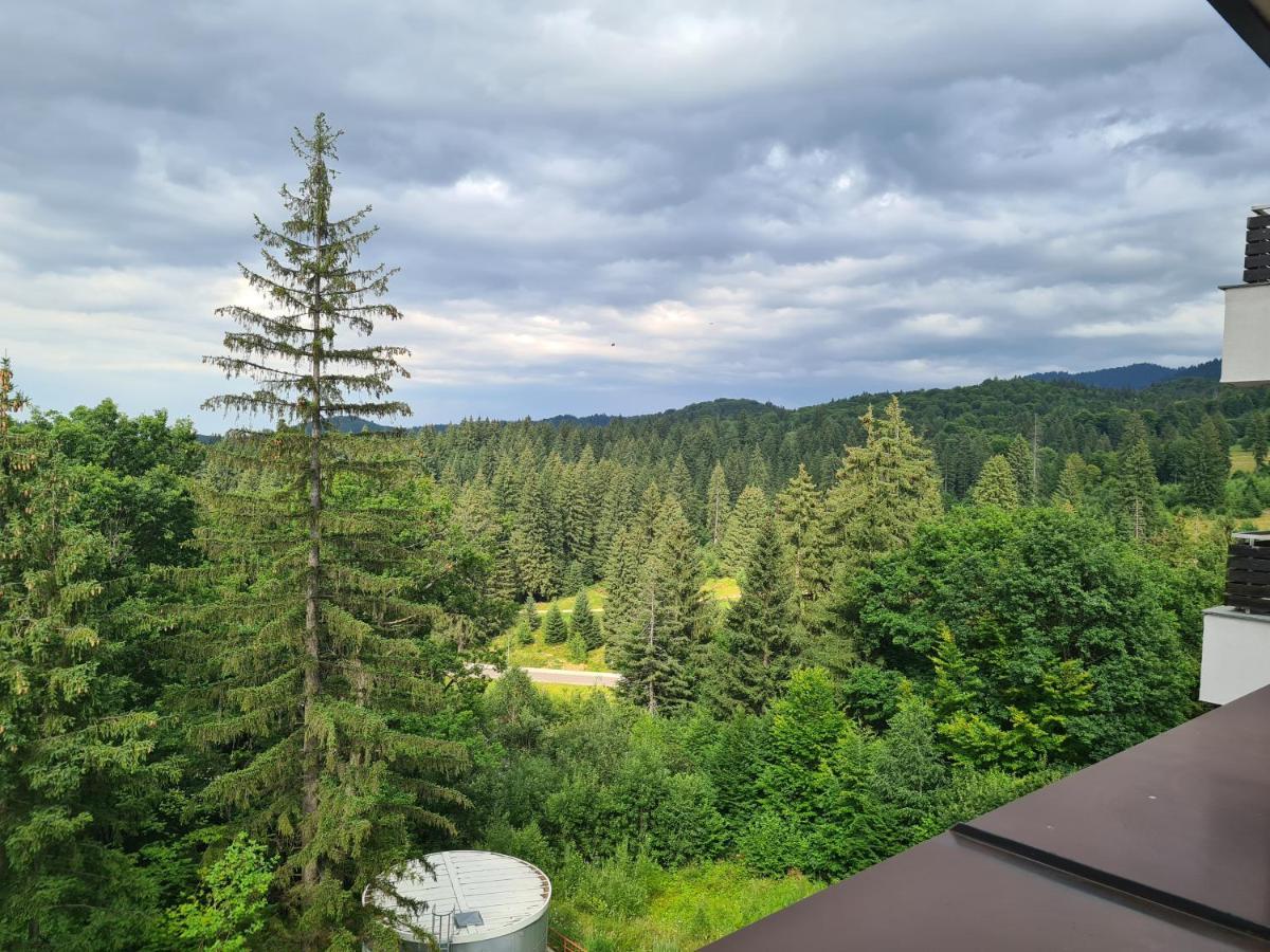 Fabulous Panorama Silver Mountain Apartments Poiana Brasov Exteriör bild